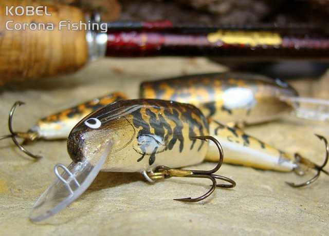 wobler łamany pstrąg